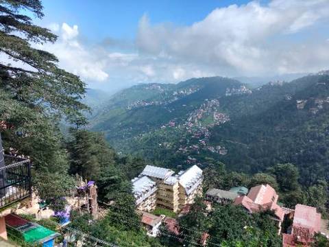 Shimla