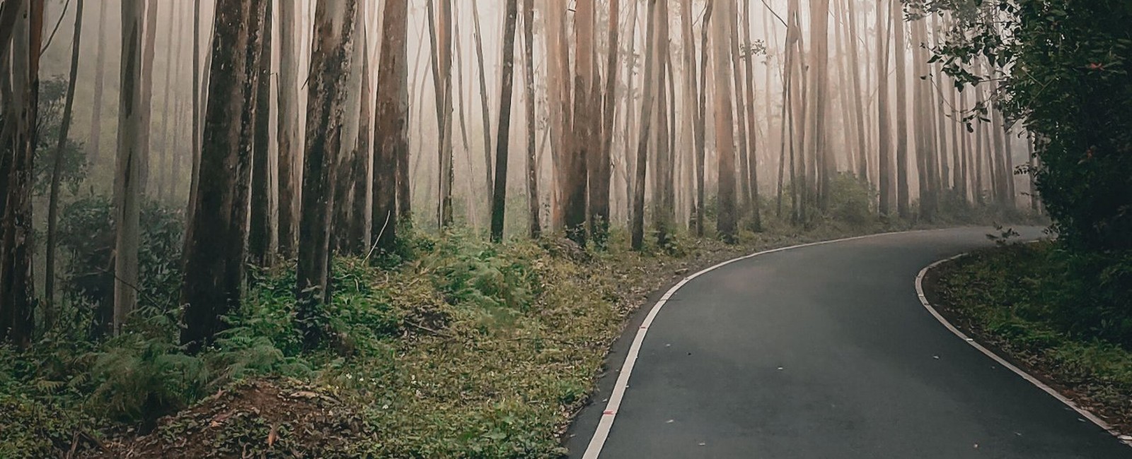 Misty hill road